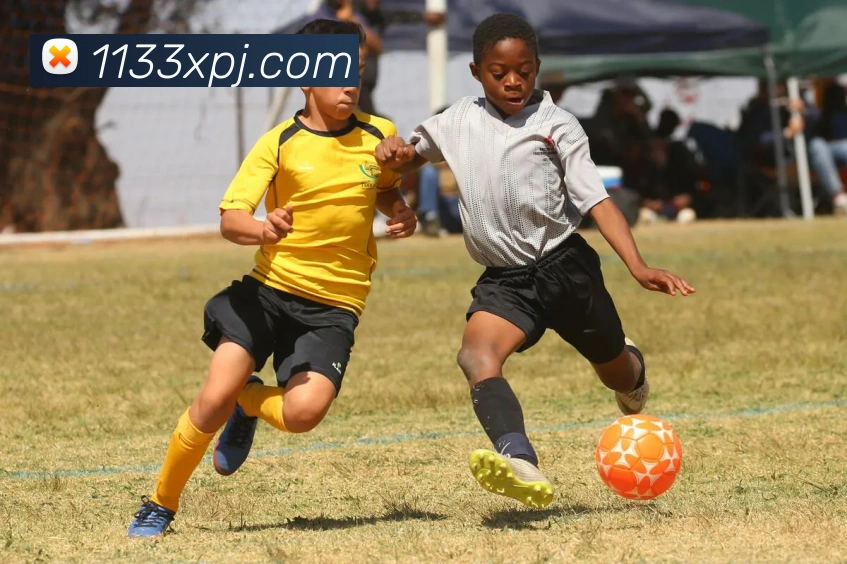 App Interface Preview